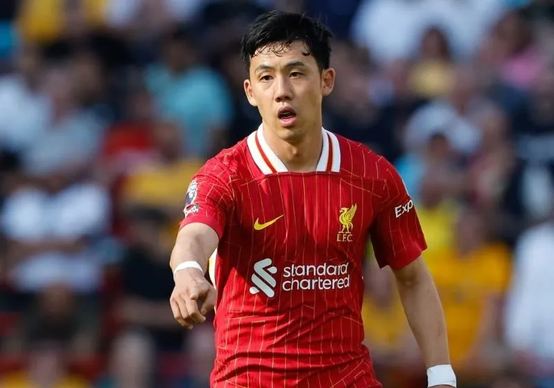 Wataru Endo trong màu áo đội tuyển quốc gia Nhật Bản